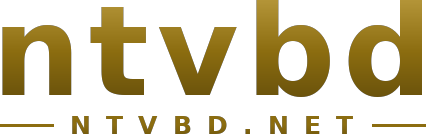 ntvbd logo
